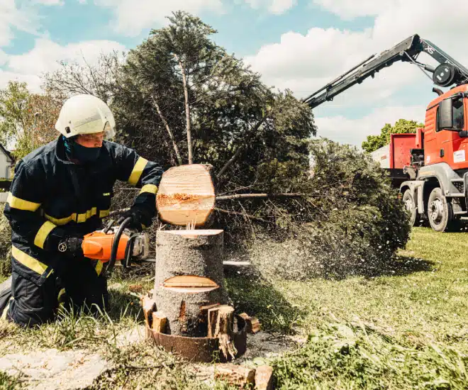 A firefighter in protective gear uses a chainsaw to cut a tree trunk while a fallen tree and a red utility truck with a crane are visible in the background on a grassy area.