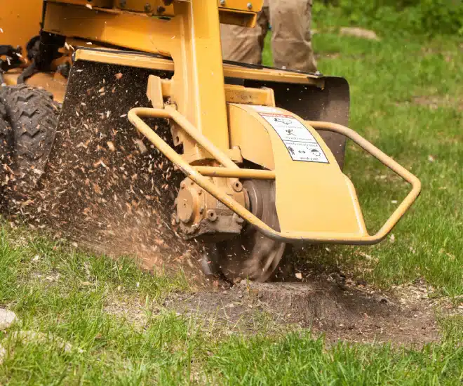 A stump grinder in action grinding down a tree stump on a grassy lawn, with wood chips flying around and a person operating the machine partially visible.