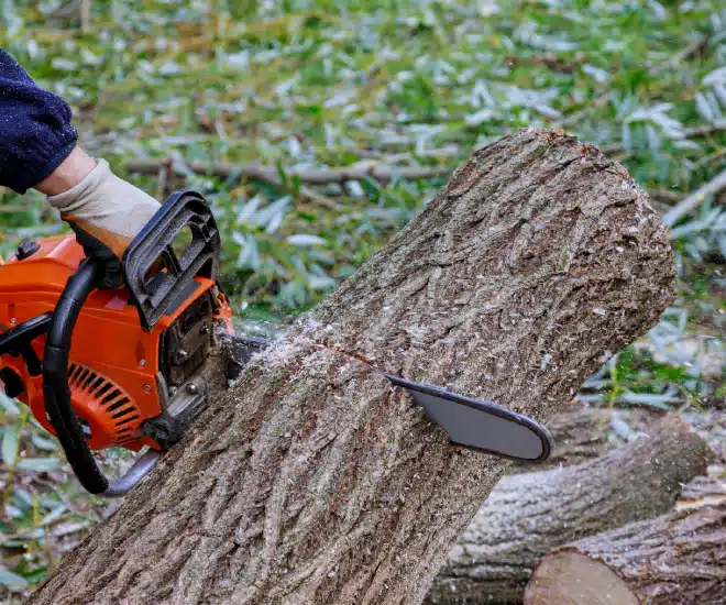 A person using an orange chainsaw to cut through a thick tree trunk outdoors, with branches and wood debris scattered on the ground in the background.