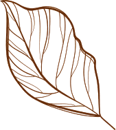 A simple brown line drawing of a leaf with visible veins, set against a solid brown background.