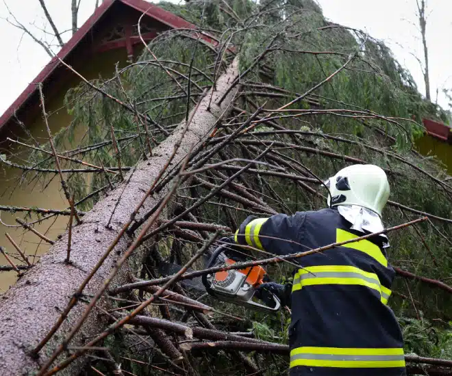 A firefighter in protective gear uses a chainsaw to cut a fallen tree that is leaning against the roof of a building. The scene suggests storm damage or an emergency response.